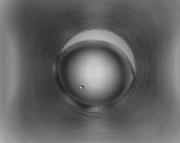 X0000113630084200909251229