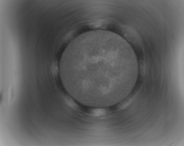 X0000113630085200909251229