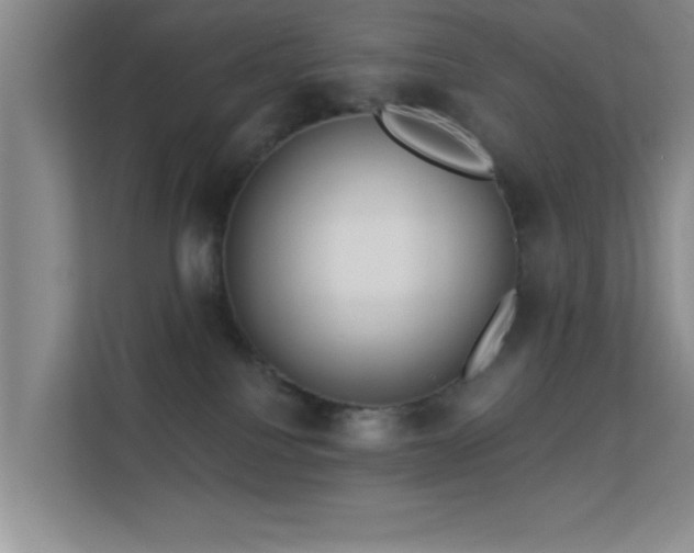 X0000113630088200909251229