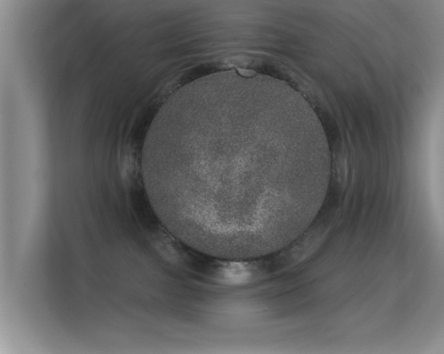 X0000113630091200909251229