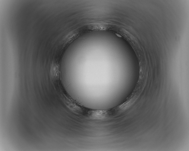 X0000113630096200909251229