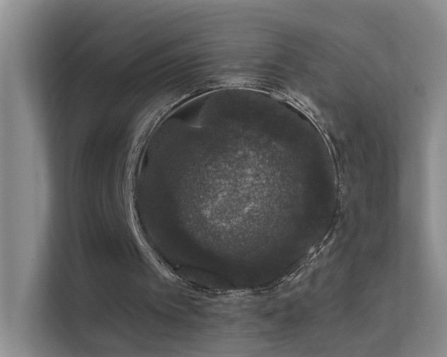 X0000113630097200909251229