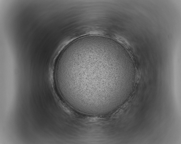 X0000113630098200909251229