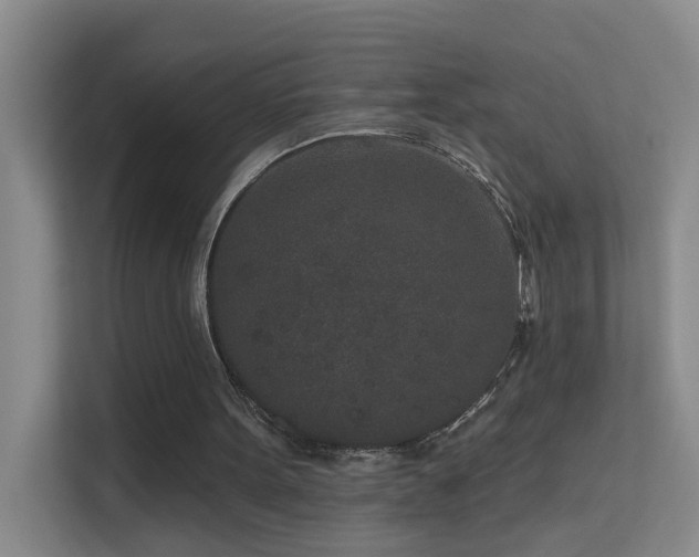 X0000113630099200909251228