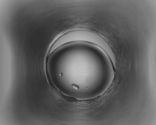 X0000113630100200909251228
