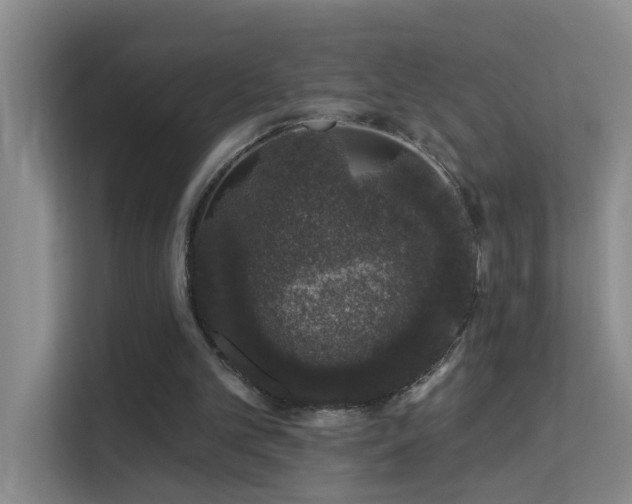 X0000113630101200909251228