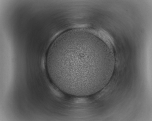 X0000113630107200909251228