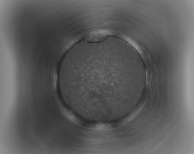 X0000113630109200909251228