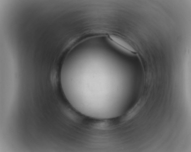 X0000113630116200909251228