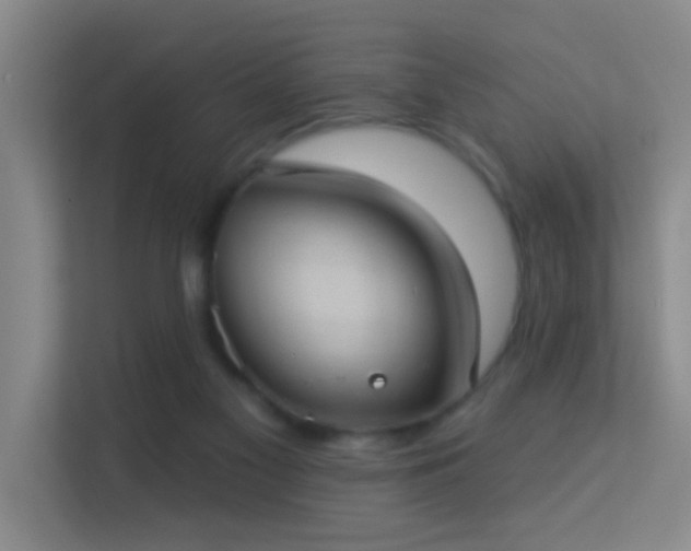 X0000113630117200909251228