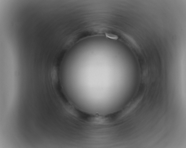 X0000113630121200909251228