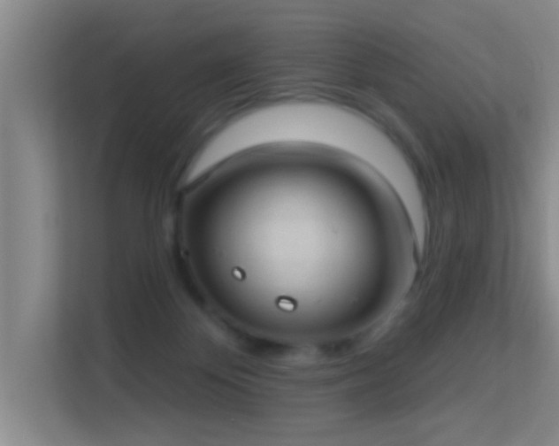 X0000113630124200909251228