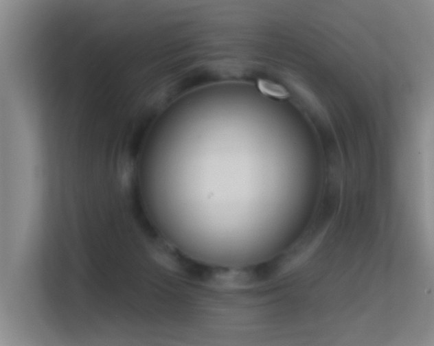 X0000113630125200909251228