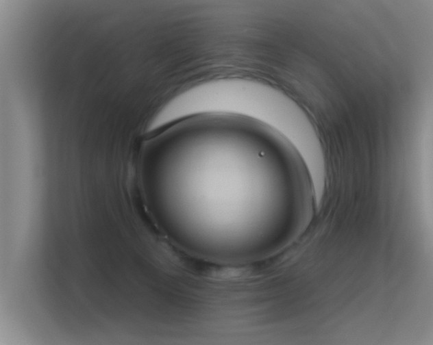 X0000113630129200909251228