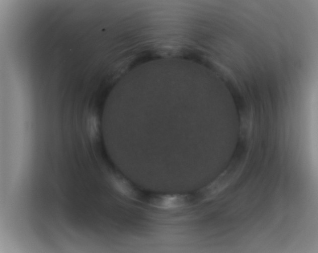 X0000113630130200909251228