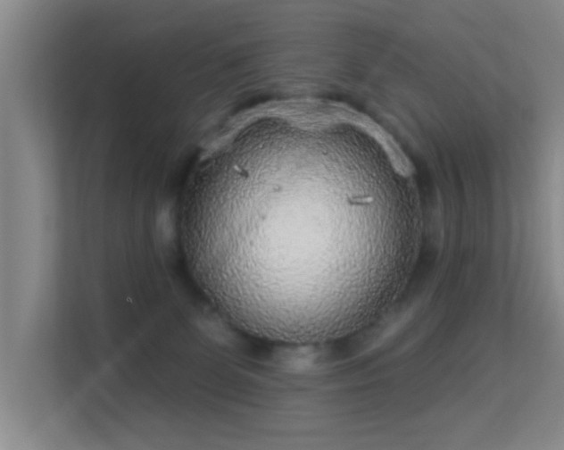 X0000113630131200909251228