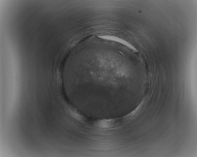 X0000113630136200909251228