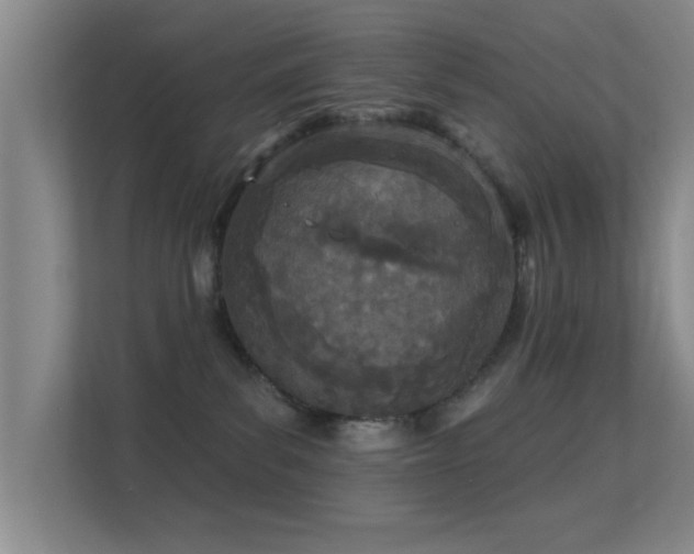 X0000113630139200909251228
