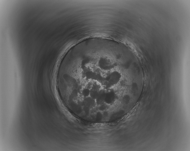 X0000113630145200909251227