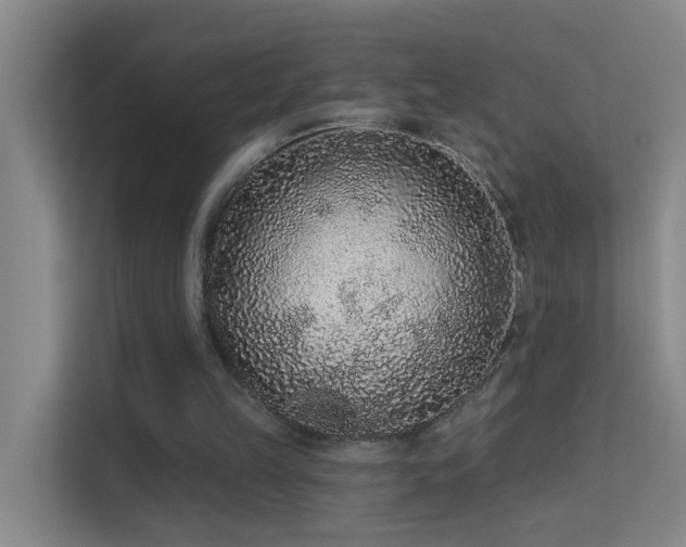X0000113630149200909251227