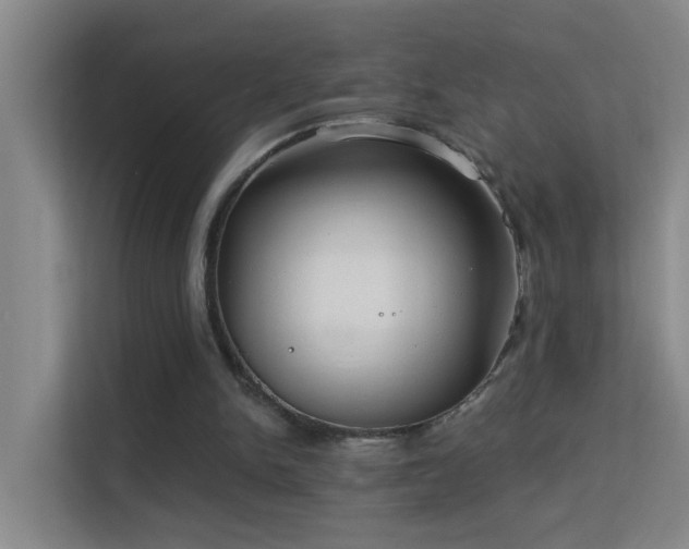 X0000113630150200909251227