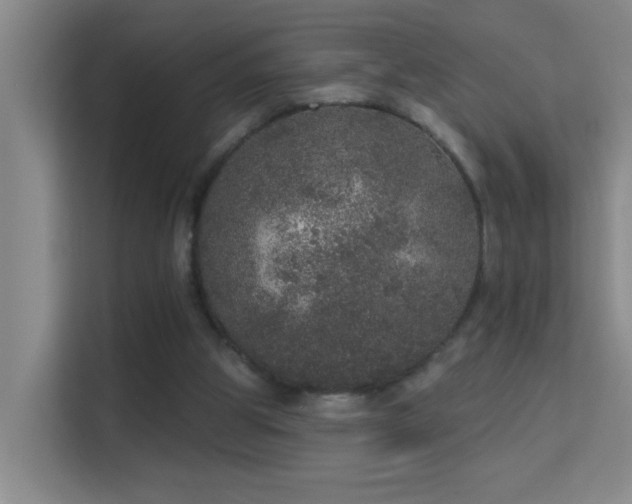 X0000113630153200909251227