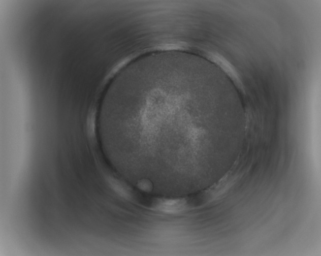 X0000113630155200909251227
