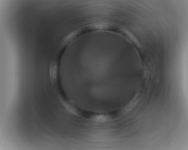 X0000113630163200909251228