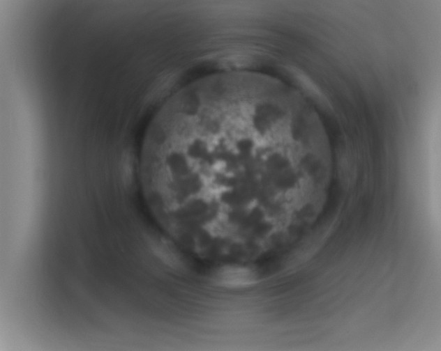 X0000113630169200909251228