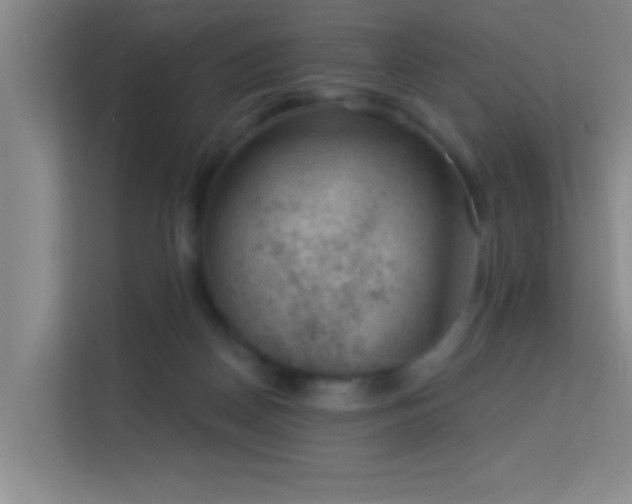 X0000113630170200909251228
