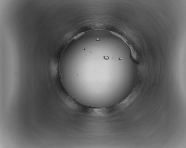 X0000113630188200909251228