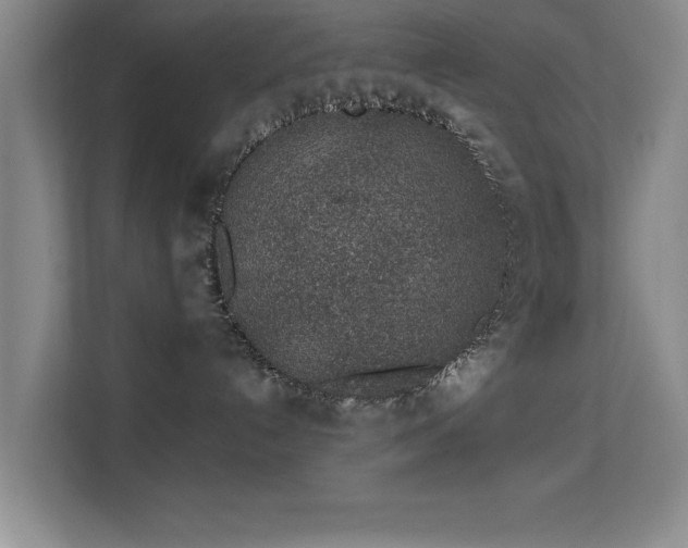 X0000113630192200909251228