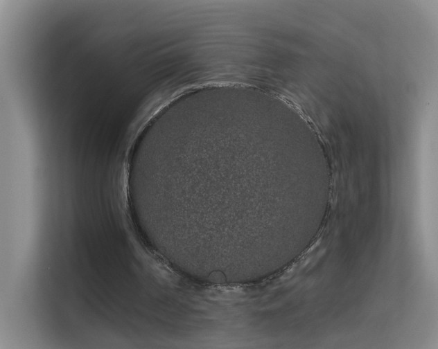 X0000113630194200909251227