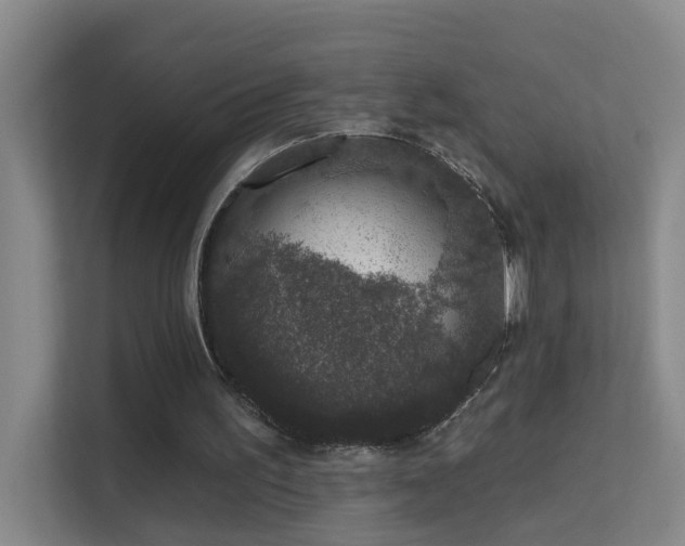 X0000113630195200909251227