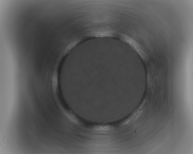X0000113630202200909251227