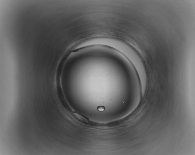 X0000113630203200909251227