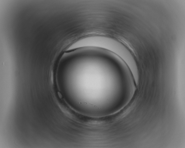 X0000113630205200909251227
