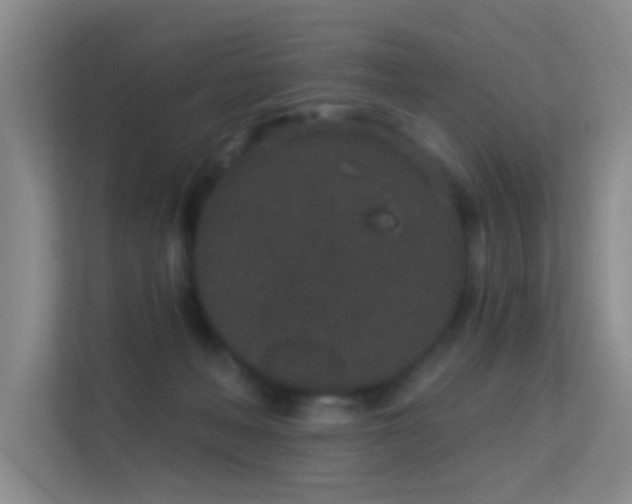 X0000113630222200909251227