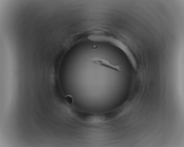 X0000113630223200909251227