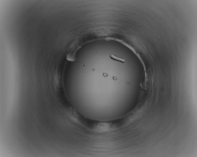 X0000113630227200909251227