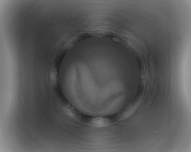 X0000113630231200909251227