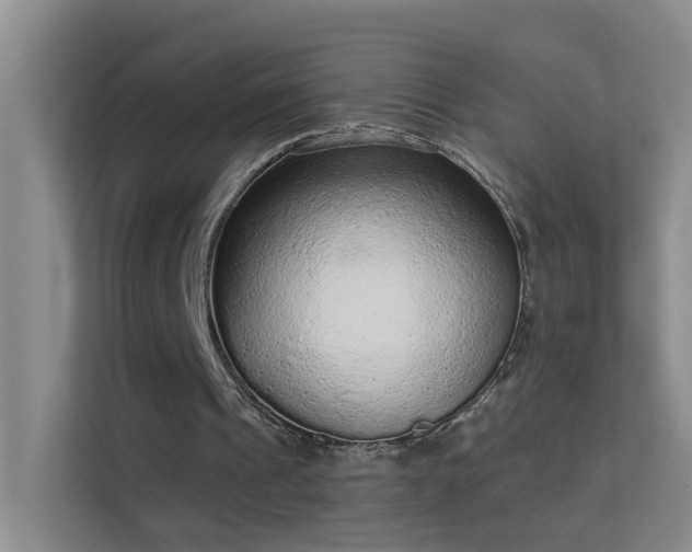 X0000113630241200909251226