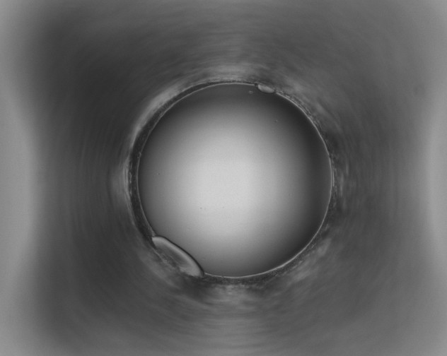 X0000113630244200909251226