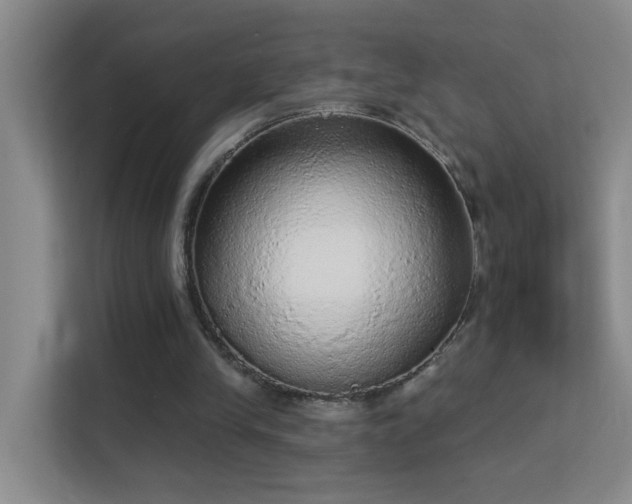 X0000113630245200909251226