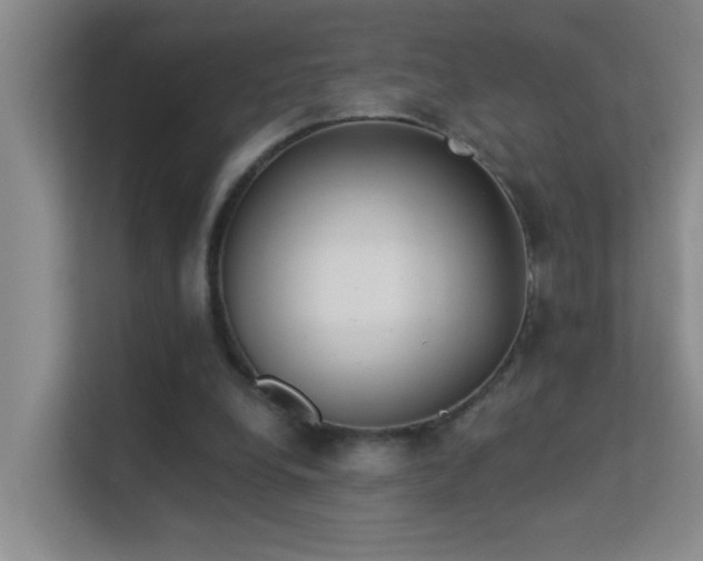 X0000113630248200909251226