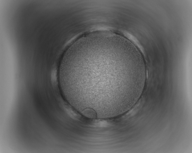 X0000113630249200909251226
