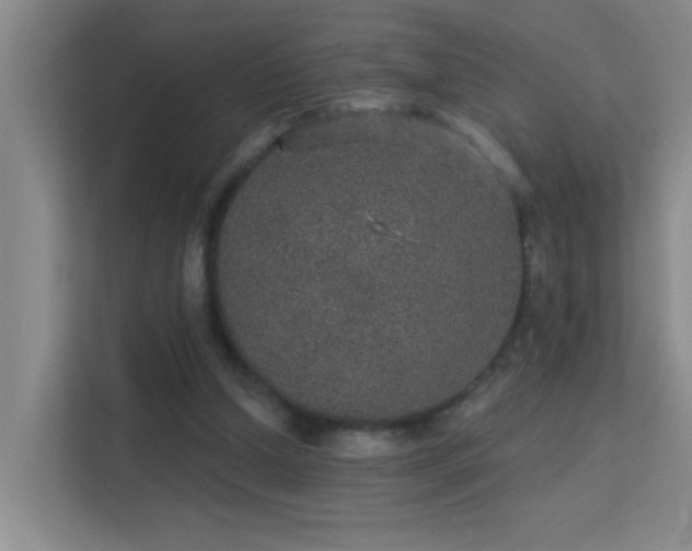 X0000113630250200909251226