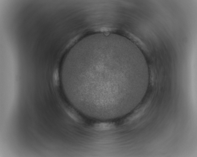 X0000113630251200909251226