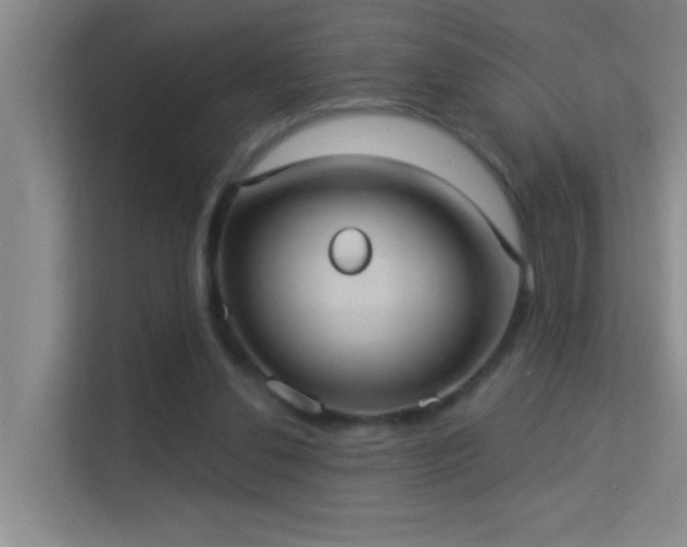 X0000113630252200909251226