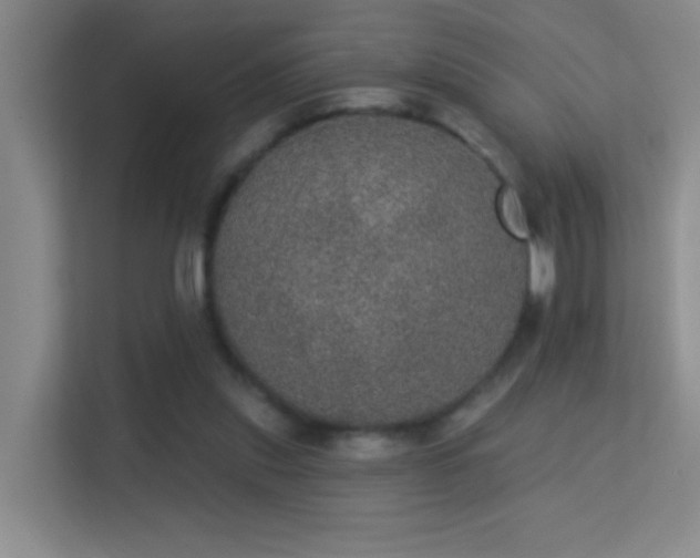 X0000113630253200909251226